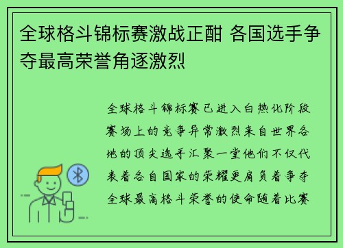 全球格斗锦标赛激战正酣 各国选手争夺最高荣誉角逐激烈